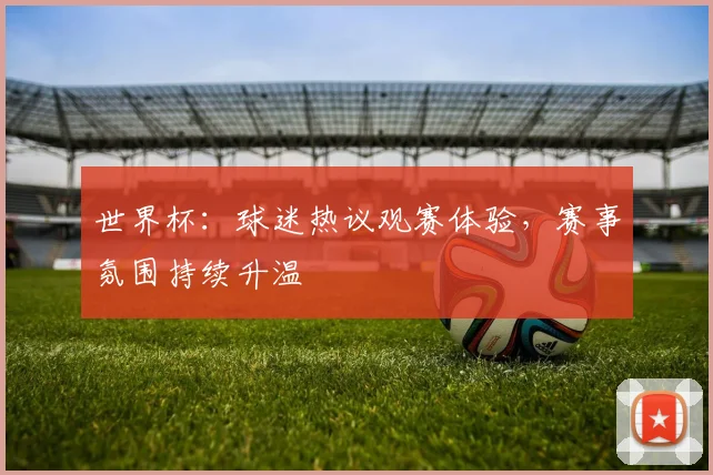 世界杯:球迷热议观赛体验,赛事氛围持续升温